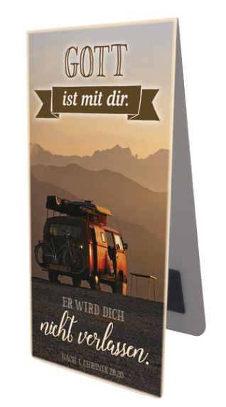 *Magnetlesezeichen