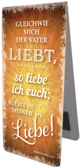 *Magnetlesezeichen