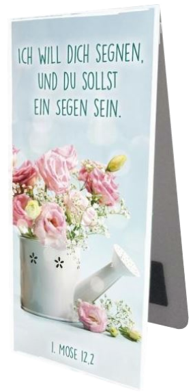 *Magnetlesezeichen