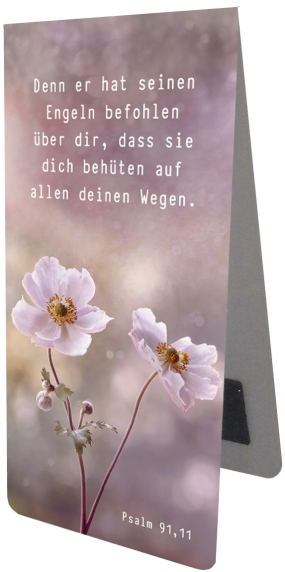 *Magnetlesezeichen