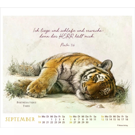 *Meisterwerke des Schöpfers, 2027, Tischkalender