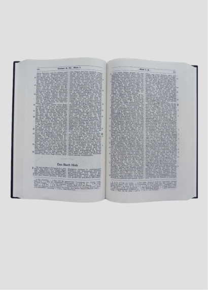 Hausbibel Kunstleder, Goldschnitt – Übersetzung 1905