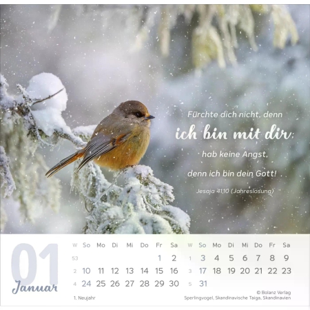 Tischkalender „Meine Zeit“ 2027 mit Bibelvers und ausdrucksstarkem Foto
