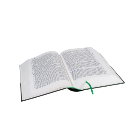 *Elberfelder Bibel in großer Schrift