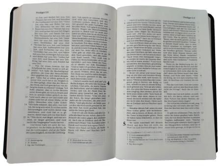 Standardbibel, Leder, schwarz, Goldschnitt, 15,0 x 22,5 x 3,0 cm
