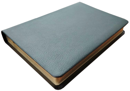 Standardbibel, Leder, schwarz, Goldschnitt, 15,0 x 22,5 x 3,0 cm