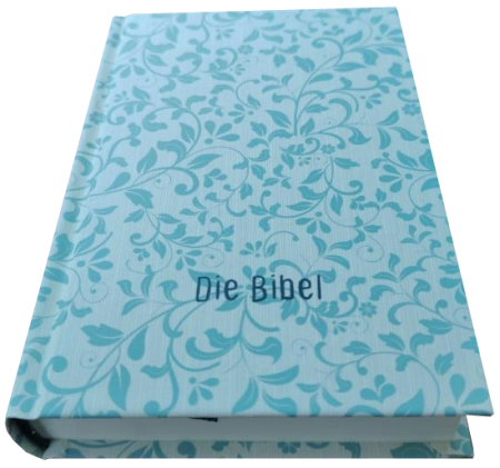 *Pocketbibel, Rankenmuster,  9,5 x 14,0 x 2,3 cm