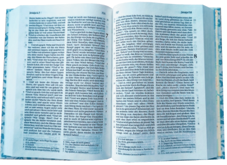 *Pocketbibel, Rankenmuster,  9,5 x 14,0 x 2,3 cm