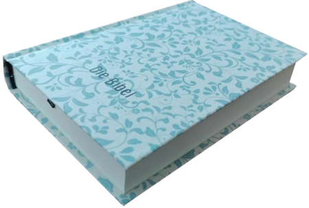 *Pocketbibel, Rankenmuster,  9,5 x 14,0 x 2,3 cm
