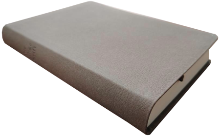 *Taschenbibel, Lederfaser, braun, 13 x 18,3 x 2,9 cm