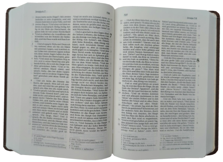 *Taschenbibel, Lederfaser, braun, 13 x 18,3 x 2,9 cm