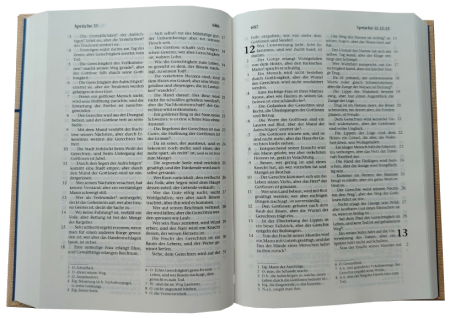 *Taschenbibel, Strukturpapier, natur, 13 x 18,3 x 2,9 cm