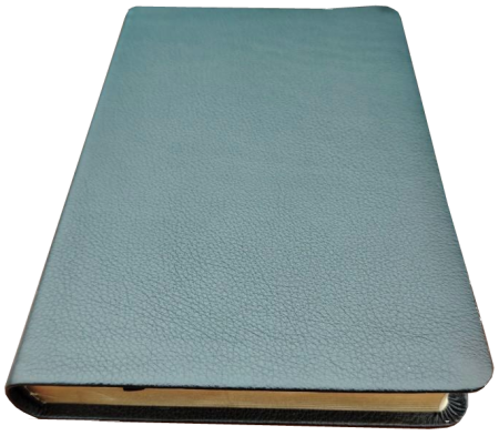 Standardbibel, Leder, schwarz, Goldschnitt mit Griffregister, 15,5 x 22,5 x 2,8 cm