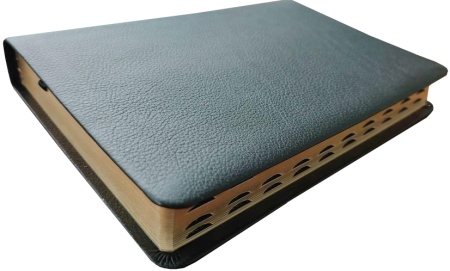 Standardbibel, Leder, schwarz, Goldschnitt mit Griffregister, 15,5 x 22,5 x 2,8 cm