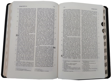 Standardbibel, Leder, schwarz, Goldschnitt mit Griffregister, 15,5 x 22,5 x 2,8 cm
