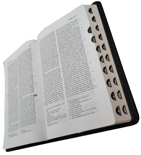 Standardbibel, Leder, schwarz, Goldschnitt mit Griffregister, 15,5 x 22,5 x 2,8 cm
