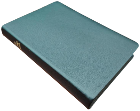 Standardbibel, Leder, schwarz, Goldschnitt mit Griffregister, 15,5 x 22,5 x 2,8 cm