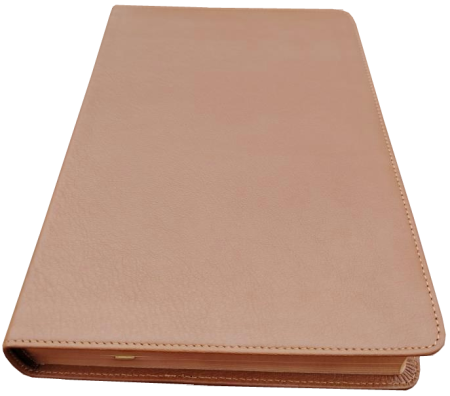 Standardbibel, Leder, hellbraun, Rotgoldschnitt, Griffregister, 15,2 x 22,5 x 3,0 cm
