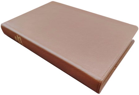 Standardbibel, Leder, hellbraun, Rotgoldschnitt, Griffregister, 15,2 x 22,5 x 3,0 cm