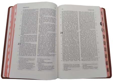 Standardbibel, Leder, hellbraun, Rotgoldschnitt, Griffregister, 15,2 x 22,5 x 3,0 cm