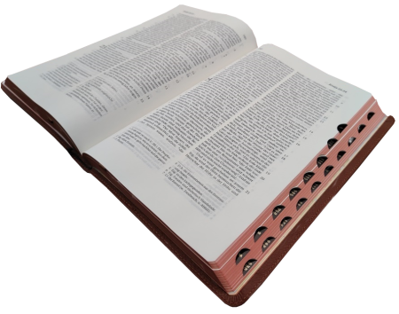 Standardbibel, Leder, hellbraun, Rotgoldschnitt, Griffregister, 15,2 x 22,5 x 3,0 cm