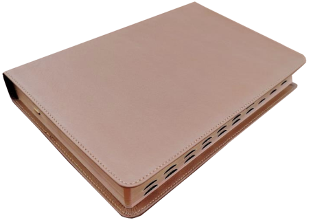 Standardbibel, Leder, hellbraun, Rotgoldschnitt, Griffregister, 15,2 x 22,5 x 3,0 cm