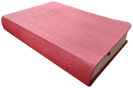 *Taschenbibel, Kunstleder, rot, 13 x 18,3 x 2,9 cm