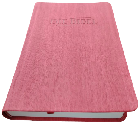 *Taschenbibel, Kunstleder, rot, 13 x 18,3 x 2,9 cm
