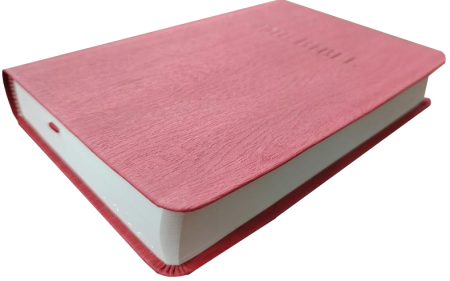*Taschenbibel, Kunstleder, rot, 13 x 18,3 x 2,9 cm