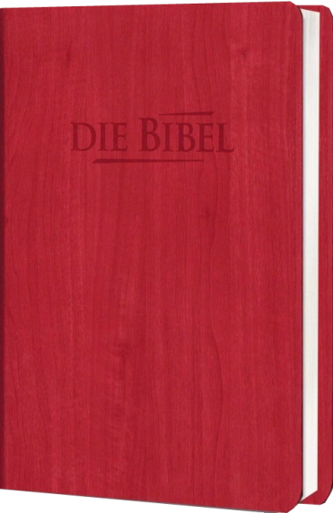 *Taschenbibel, Kunstleder, rot, 13 x 18,3 x 2,9 cm