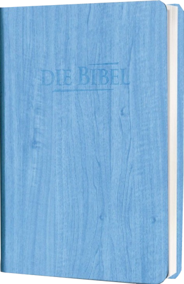 *Taschenbibel, Kunstleder, blau, 13 x 18,3 x 2,9 cm