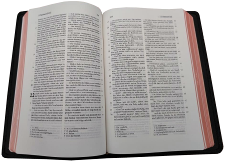 Standardbibel, Leder, schwarz, Rotgoldschnitt – Premium, 15,2 x 22,5 x 3,0 cm