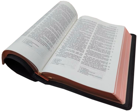 Standardbibel, Leder, schwarz, Rotgoldschnitt – Premium, 15,2 x 22,5 x 3,0 cm