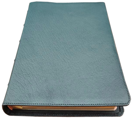 Standardbibel, Leder, schwarz, Rotgoldschnitt – Premium, 15,2 x 22,5 x 3,0 cm