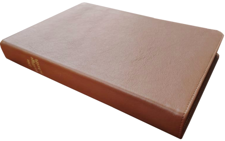 Standardbibel, Leder, hellbraun, Rotgoldschnitt, 15,2 x 22,5 x 3,0 cm