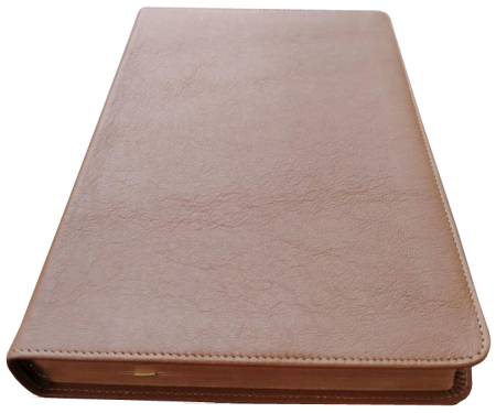 Standardbibel, Leder, hellbraun, Rotgoldschnitt, 15,2 x 22,5 x 3,0 cm