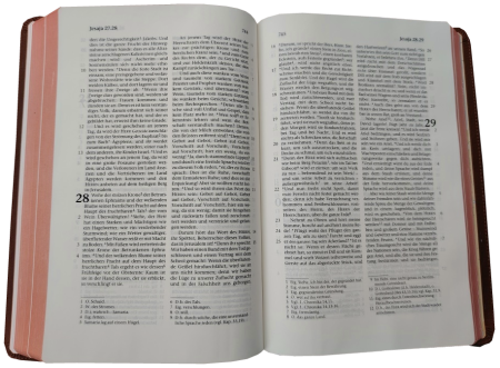 Standardbibel, Leder, hellbraun, Rotgoldschnitt, 15,2 x 22,5 x 3,0 cm