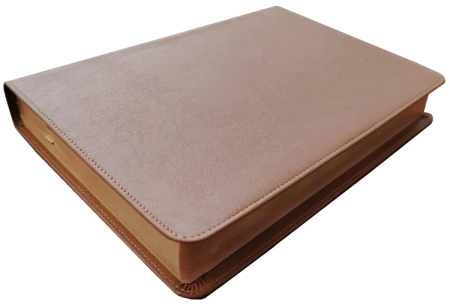 Standardbibel, Leder, hellbraun, Rotgoldschnitt, 15,2 x 22,5 x 3,0 cm