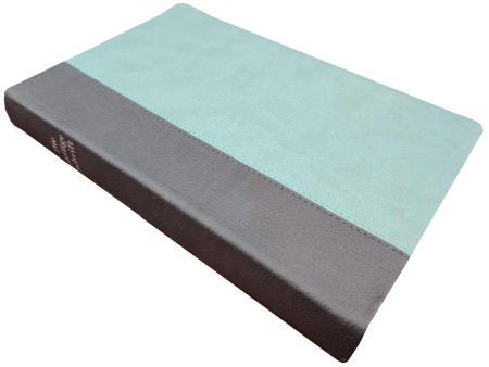 Standardbibel, Kunstleder, anthrazit/mint, 14,9 x 22,5 x 2,8 cm