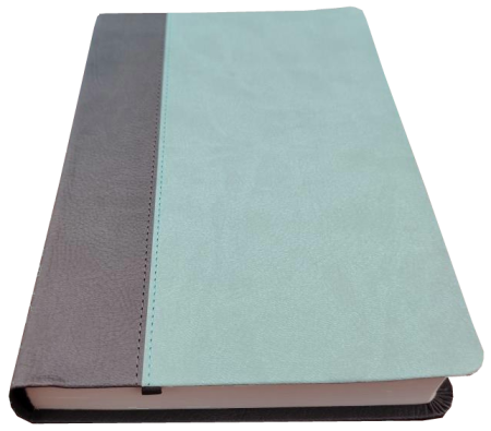 Standardbibel, Kunstleder, anthrazit/mint, 14,9 x 22,5 x 2,8 cm