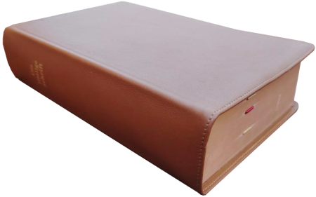 Standardbibel, Leder, hellbraun, Rotgoldschnitt mit Notizseiten, 15,7 x 23,0 x 5,5 cm