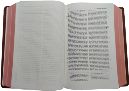 Standardbibel, Leder, hellbraun, Rotgoldschnitt mit Notizseiten, 15,7 x 23,0 x 5,5 cm