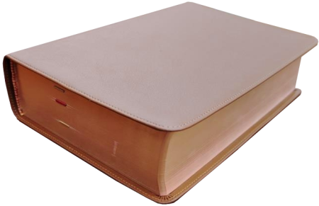 Standardbibel, Leder, hellbraun, Rotgoldschnitt mit Notizseiten, 15,7 x 23,0 x 5,5 cm