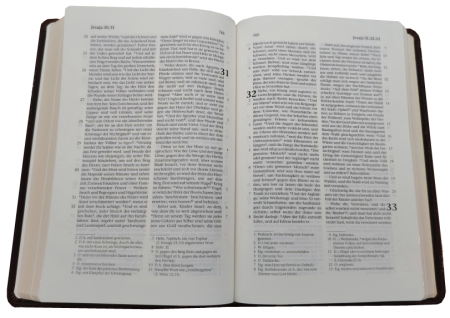 Standardbibel, Premium-Rindleder dunkelbraun, Goldschnitt, 15,5 x 22,5 x 2,8 cm