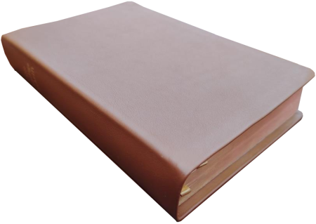 Schreibrandbibel, klein, Leder, hellbraun, Rotgoldschnitt