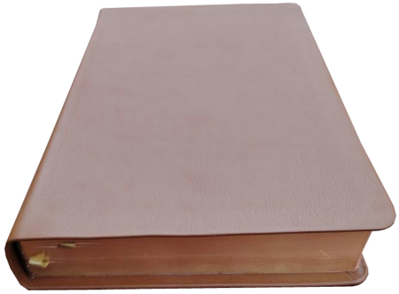 Schreibrandbibel, klein, Leder, hellbraun, Rotgoldschnitt