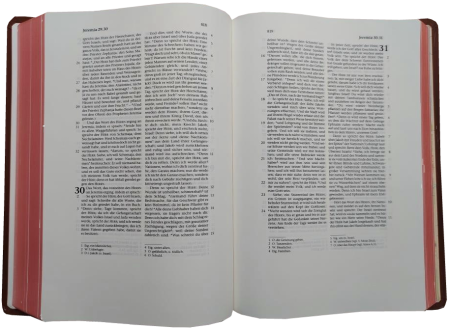 Schreibrandbibel, klein, Leder, hellbraun, Rotgoldschnitt
