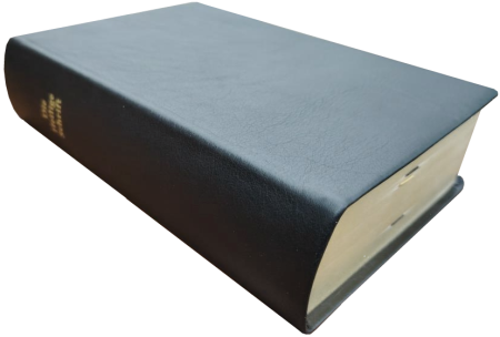 Standardbibel, Leder, schwarz, Goldschnitt mit Notizseiten, 15,7 x 23,0 x 5,5 cm