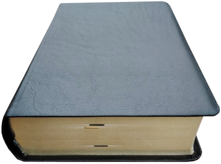 Standardbibel, Leder, schwarz, Goldschnitt mit Notizseiten, 15,7 x 23,0 x 5,5 cm