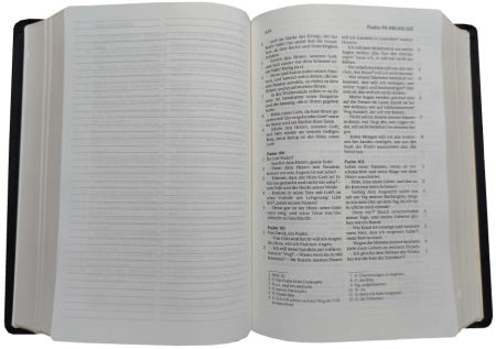 Standardbibel, Leder, schwarz, Goldschnitt mit Notizseiten, 15,7 x 23,0 x 5,5 cm